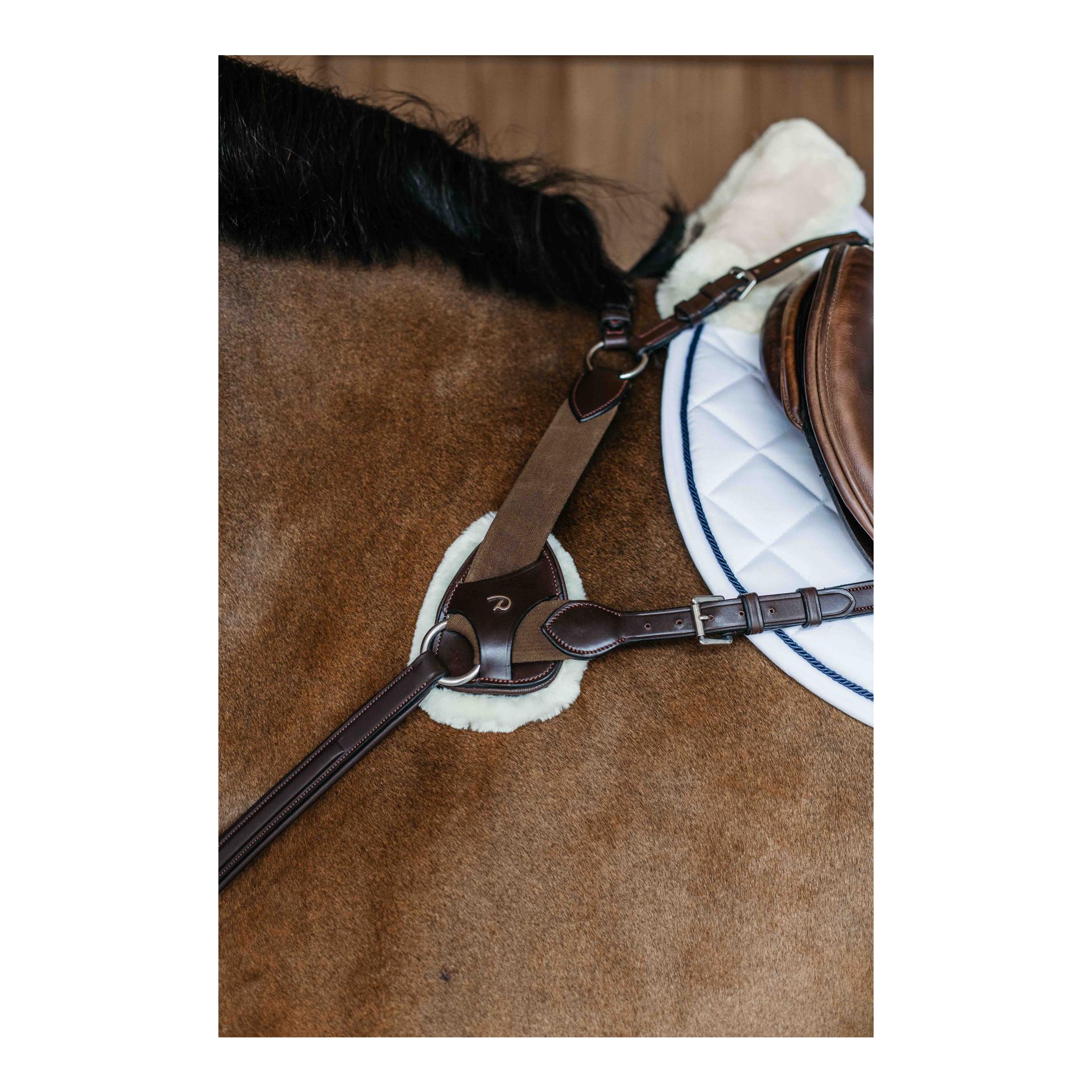 Dy'on Vorgeschirr 5 Punkt mit Elastic New English Collection