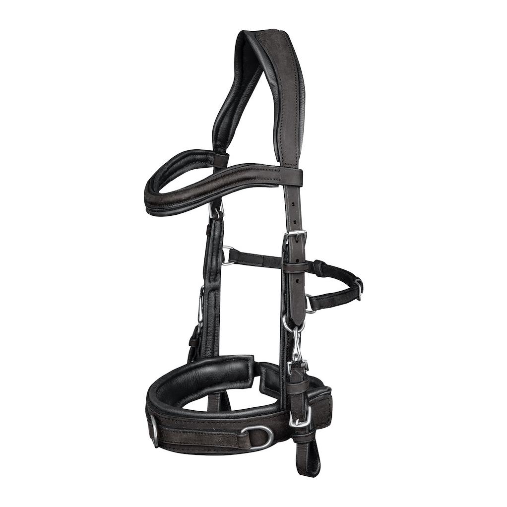 Waldhausen Lederkappzaum Anatomic