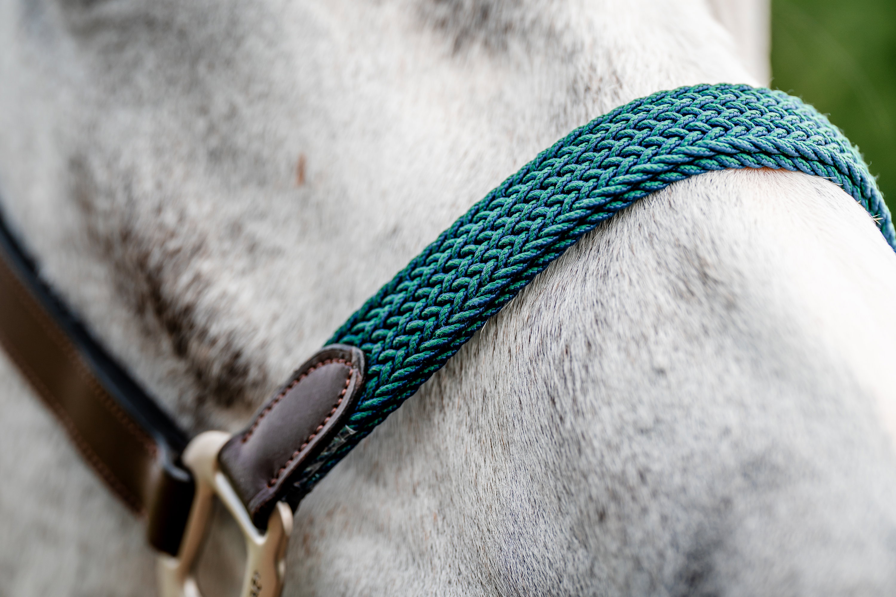 Horseware Halfter Signature Braided