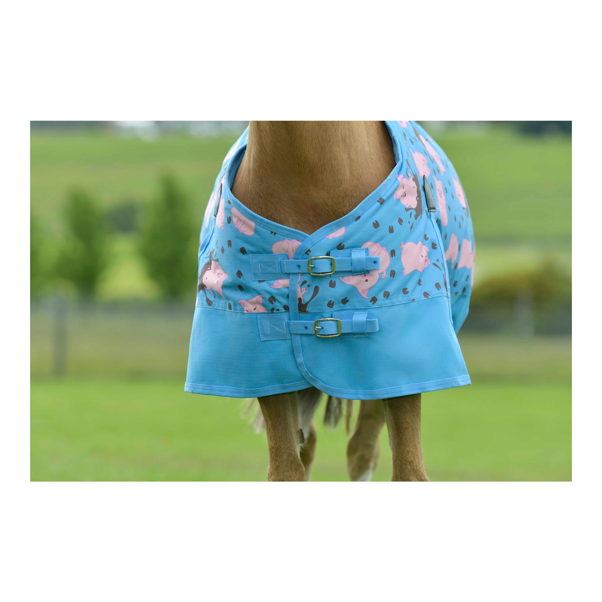 Couverture de poney 180g