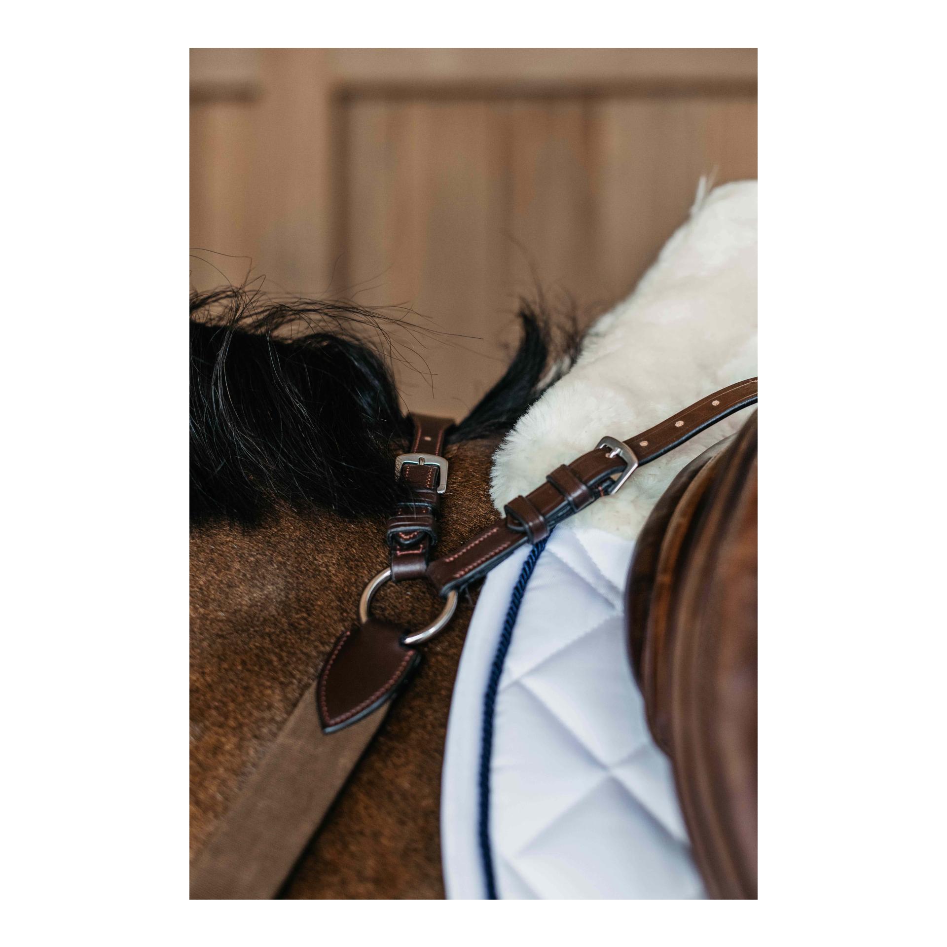 Dy'on Vorgeschirr 5 Punkt mit Elastic New English Collection