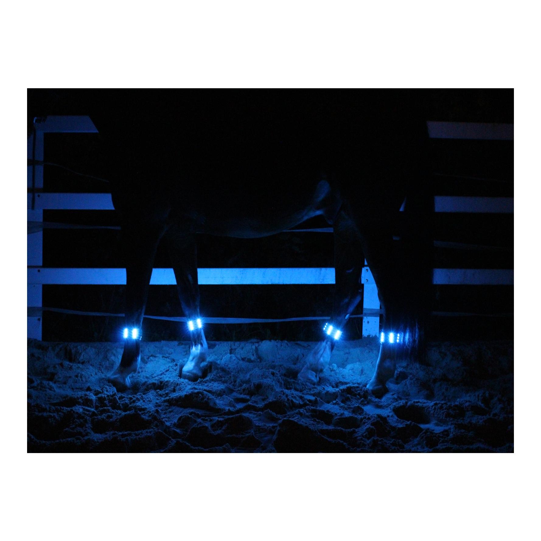 Animal Light LED Leuchtgamaschen Threeple 4er-Set