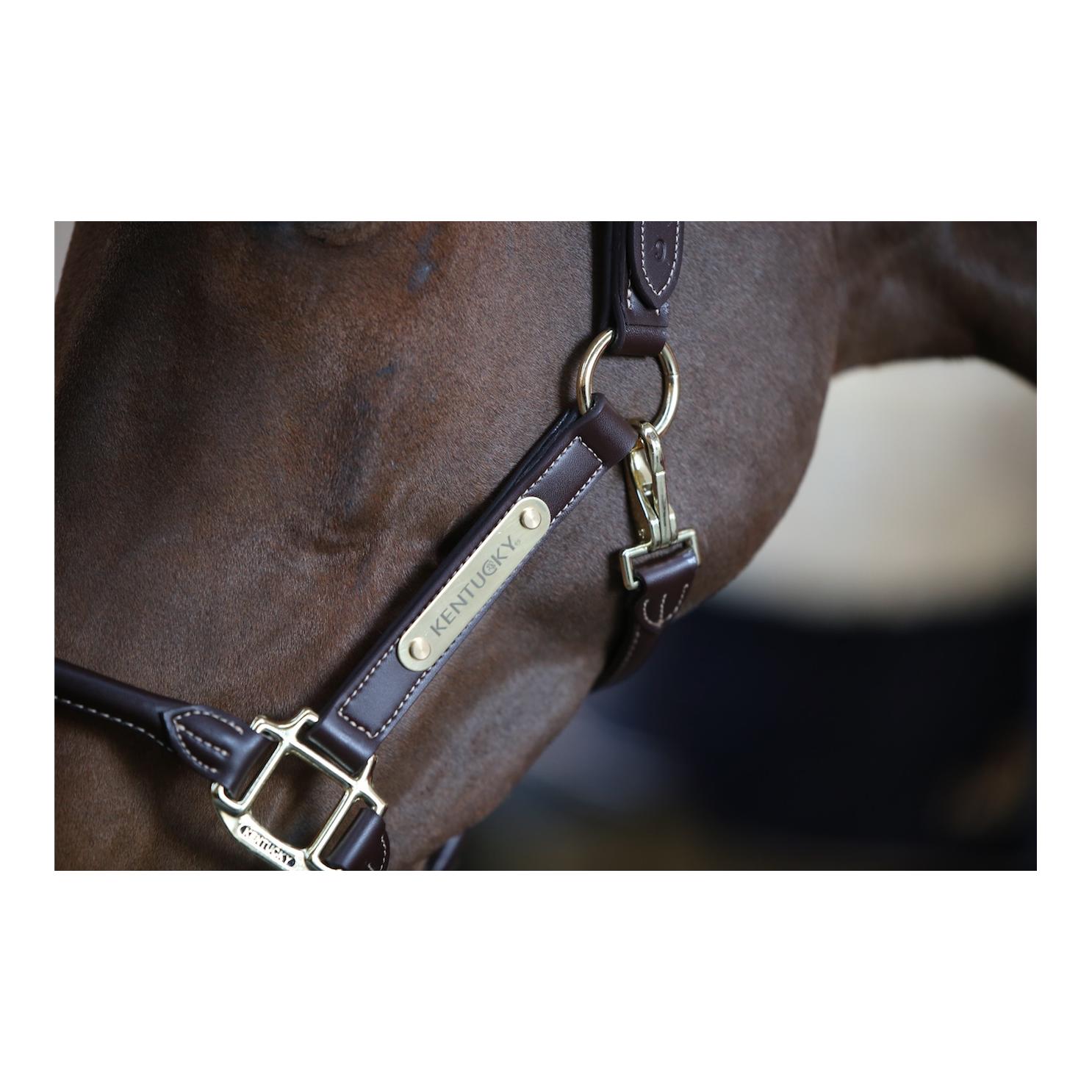 Kentucky Lederhalfter Anatomic (Lederimitat) - braun