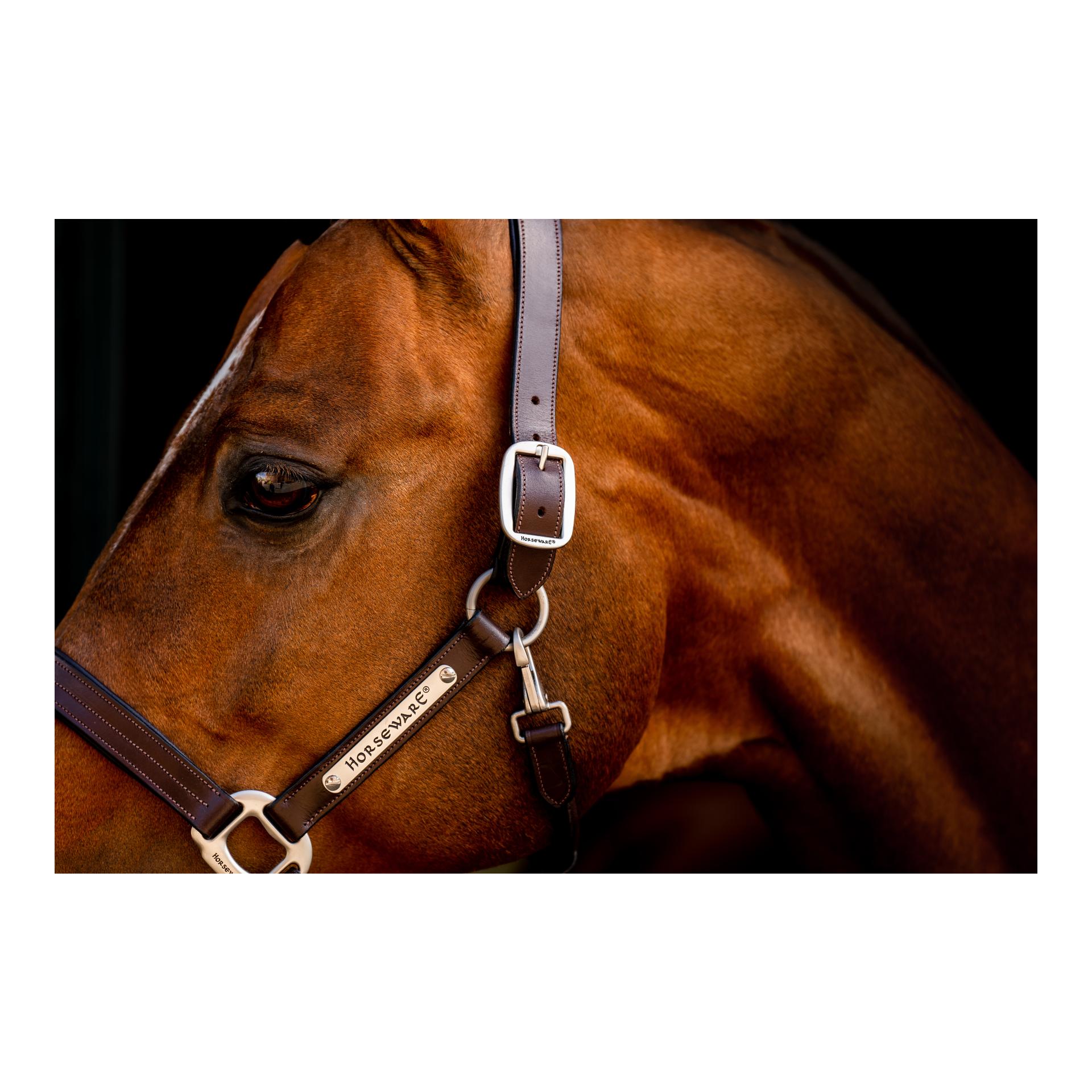 Horseware Lederhalfter Signature