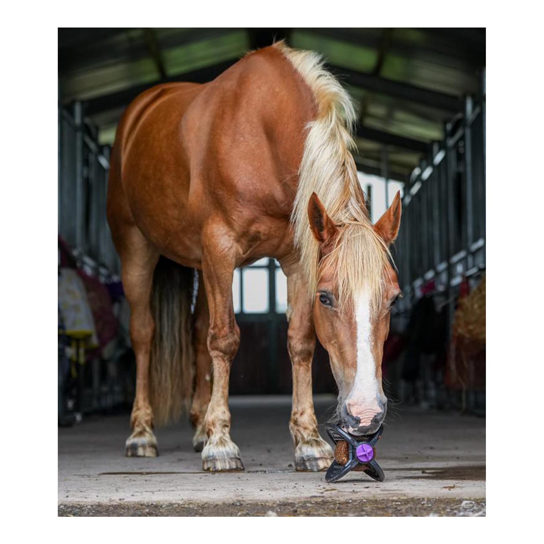 Bizzy Horse Bizzy Ball - pink