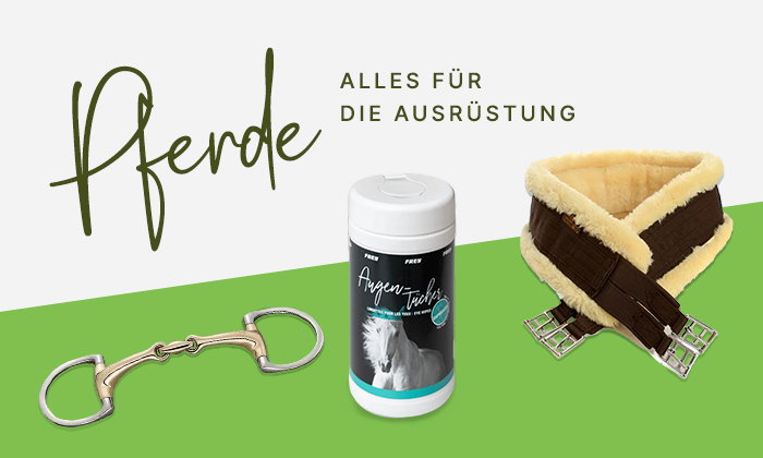 KAT-Header-Pferde