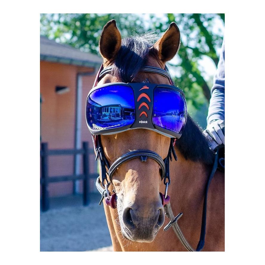 eQuick eVysor Augenschutz für Pferde mit UV-Schutz