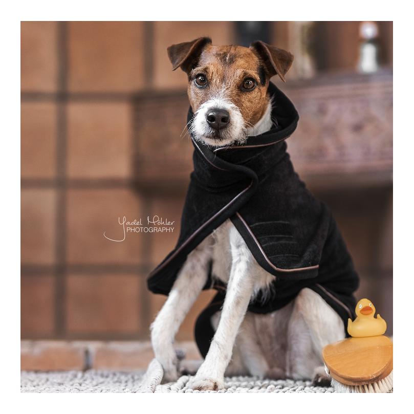 Kentucky Dogwear Manteau pour chien Dog Coat Towel