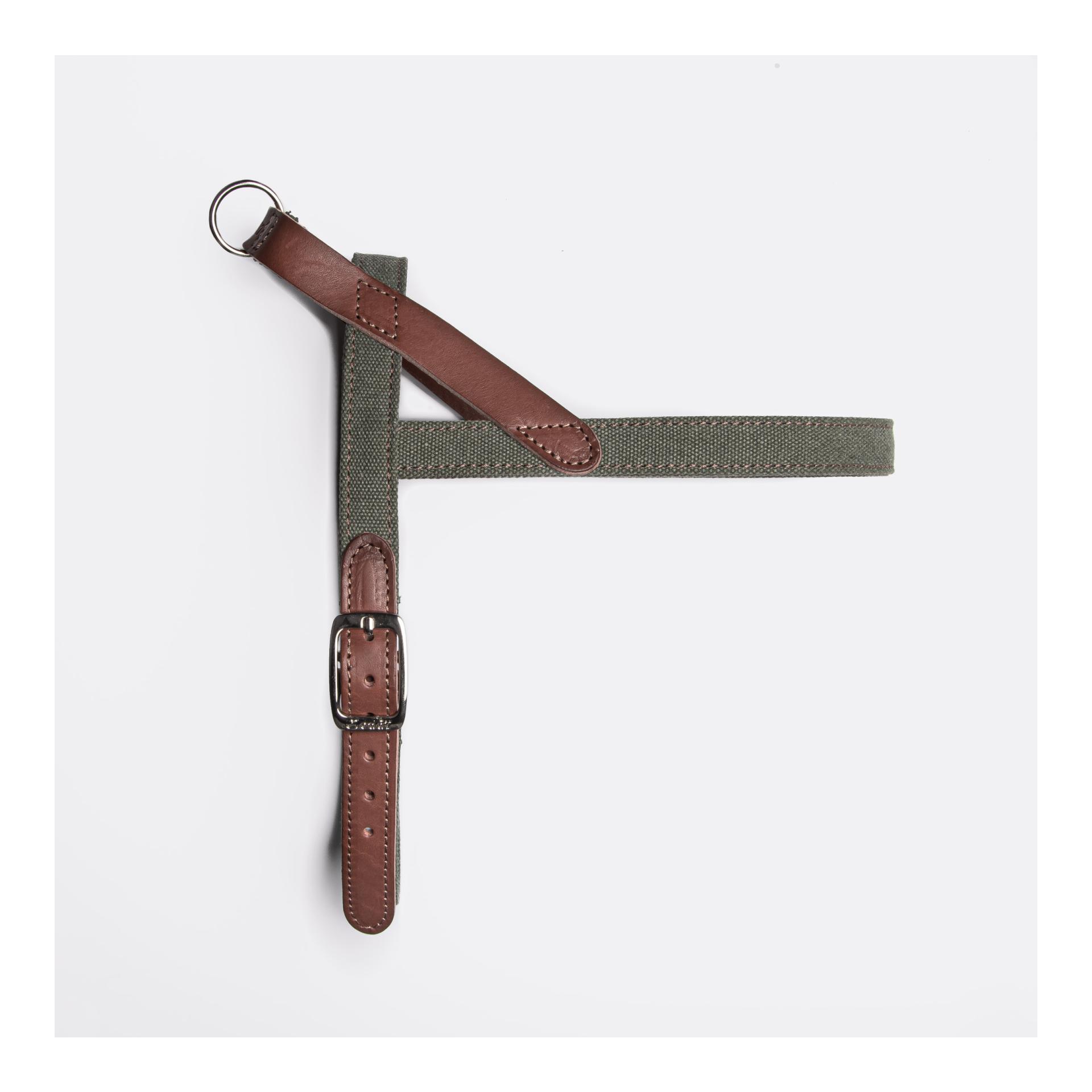 Cloud 7 Harnais pour chien Tivoli - olive
