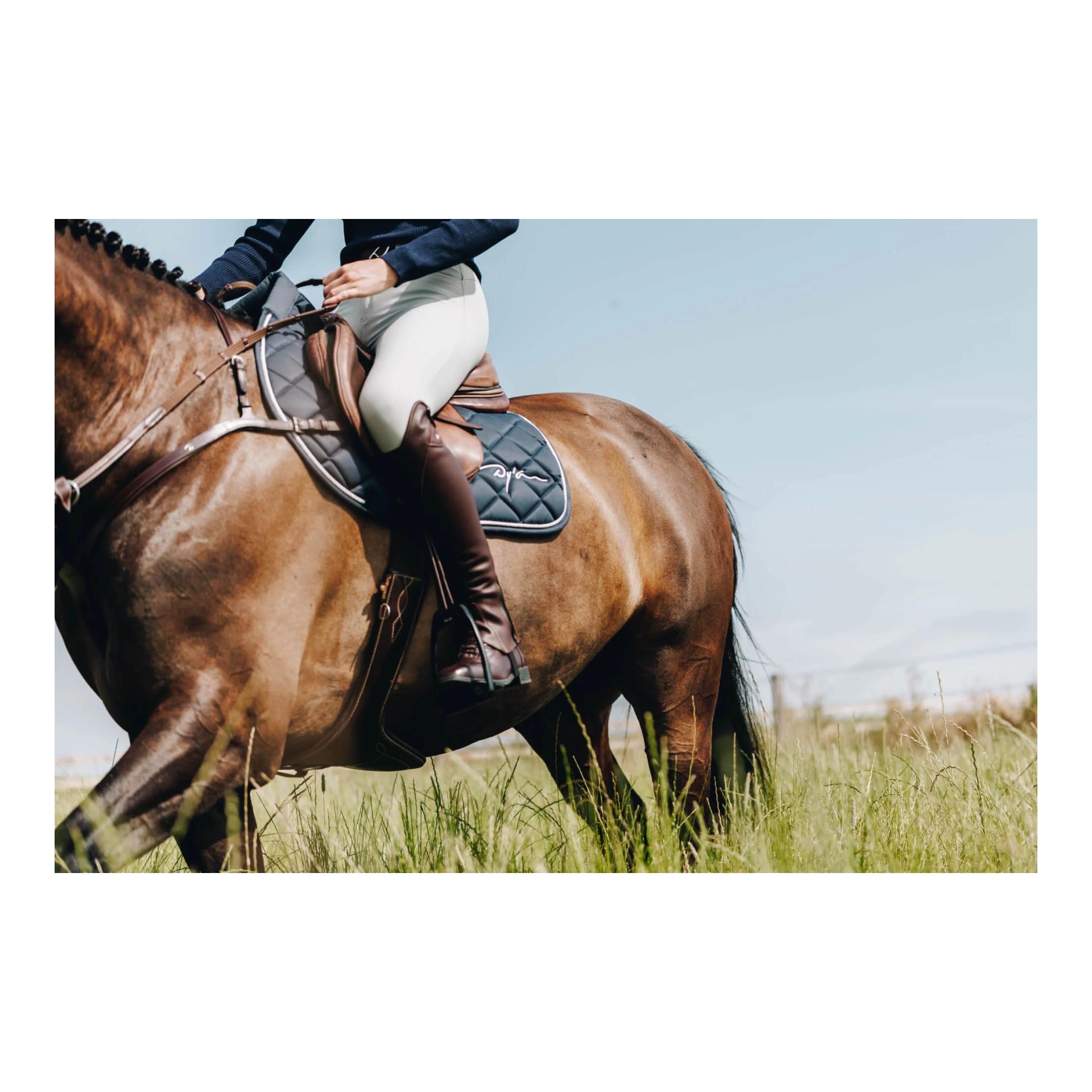 Dy'on Chaps Comfort Classic Standard