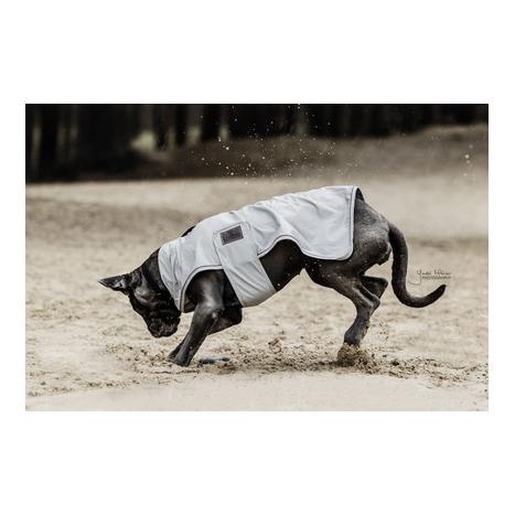 Kentucky Dogwear Veste imperméable pour chien
