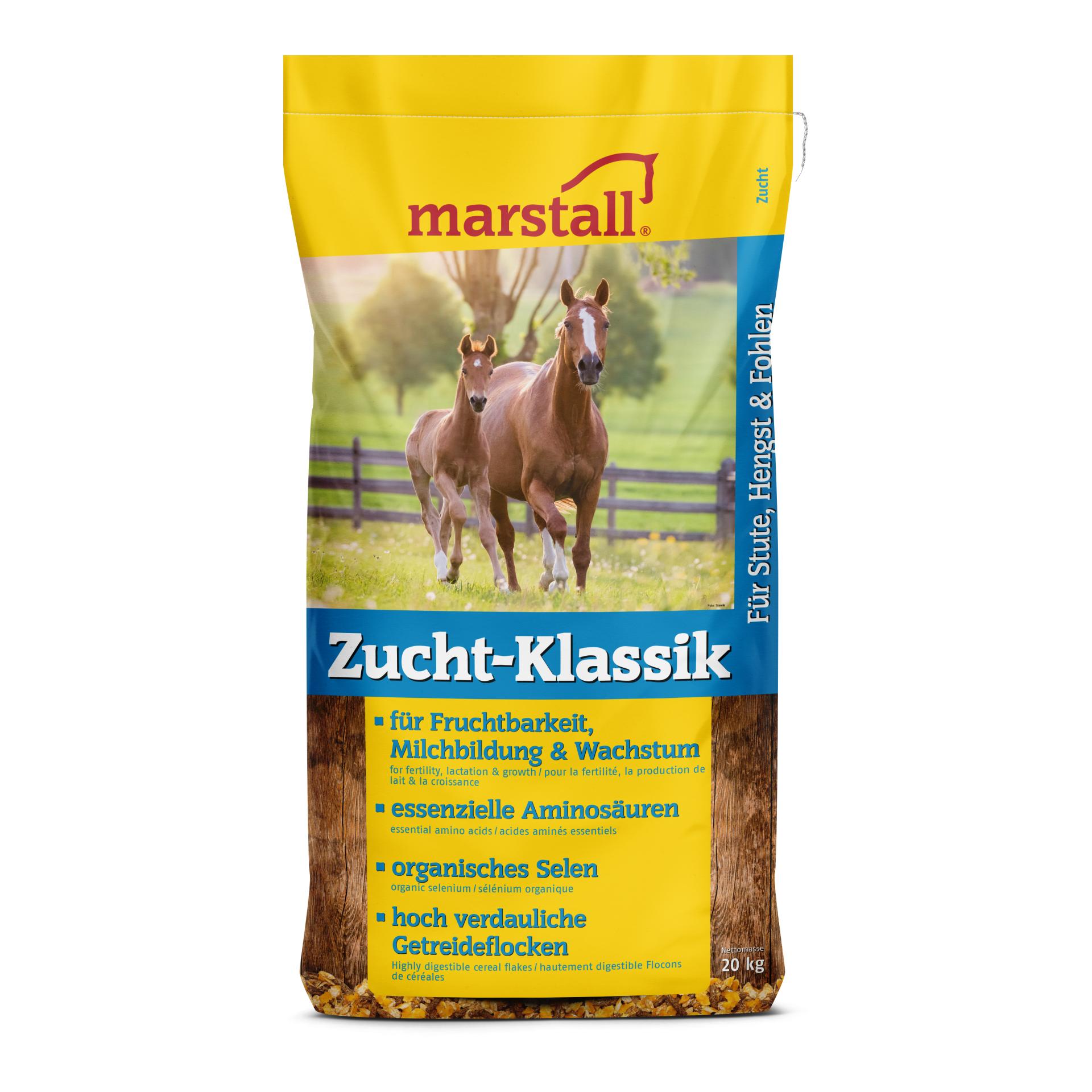 Marstall Zucht-Klassik
