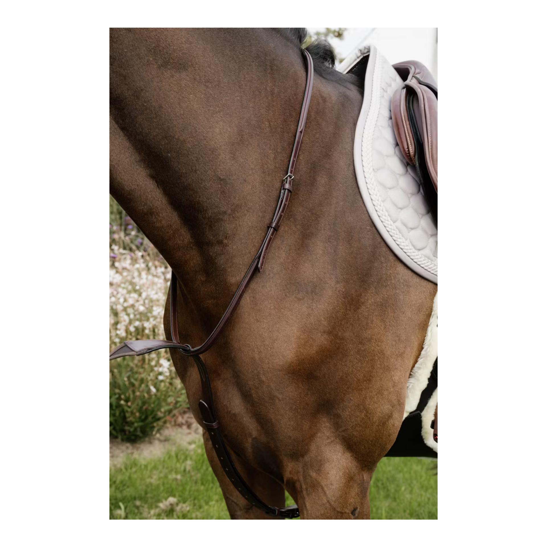 Dy'on Elastische Bib-Martingal