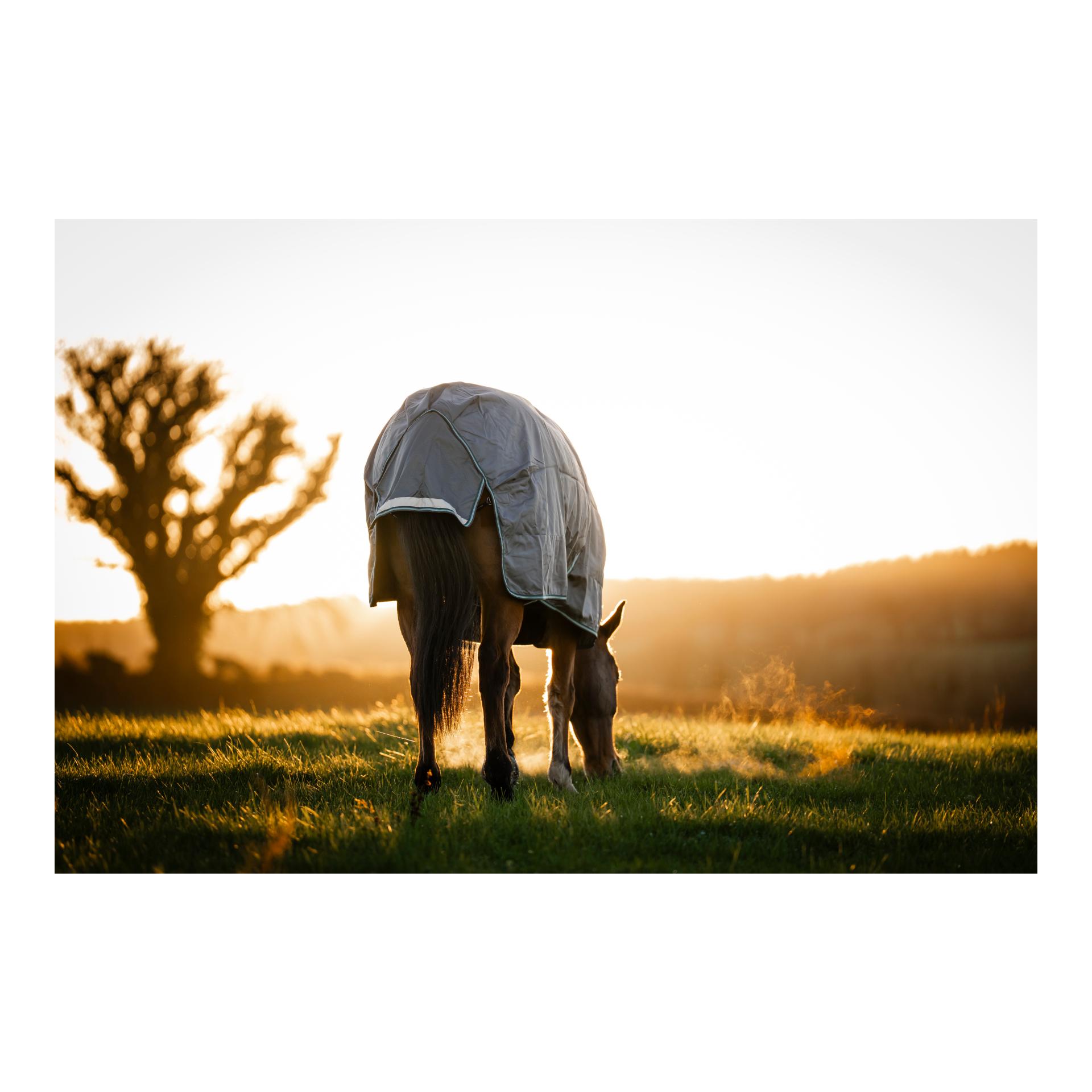 Bucas Weidedecke Smartex Rain