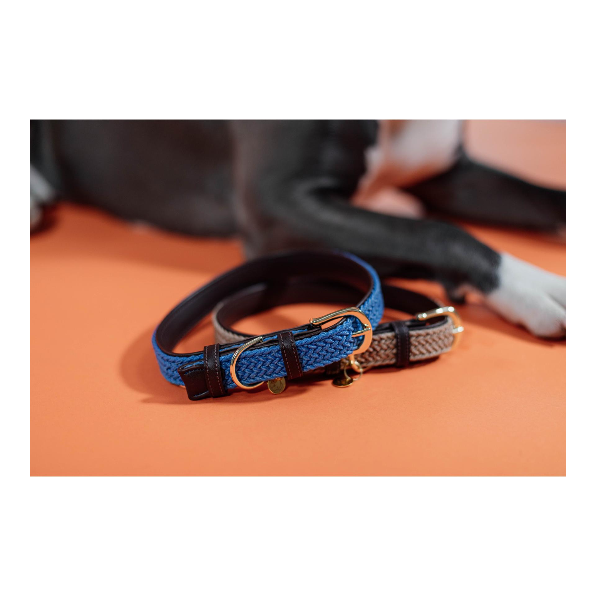 Kentucky Dogwear Collier pour chien en nylon tressé