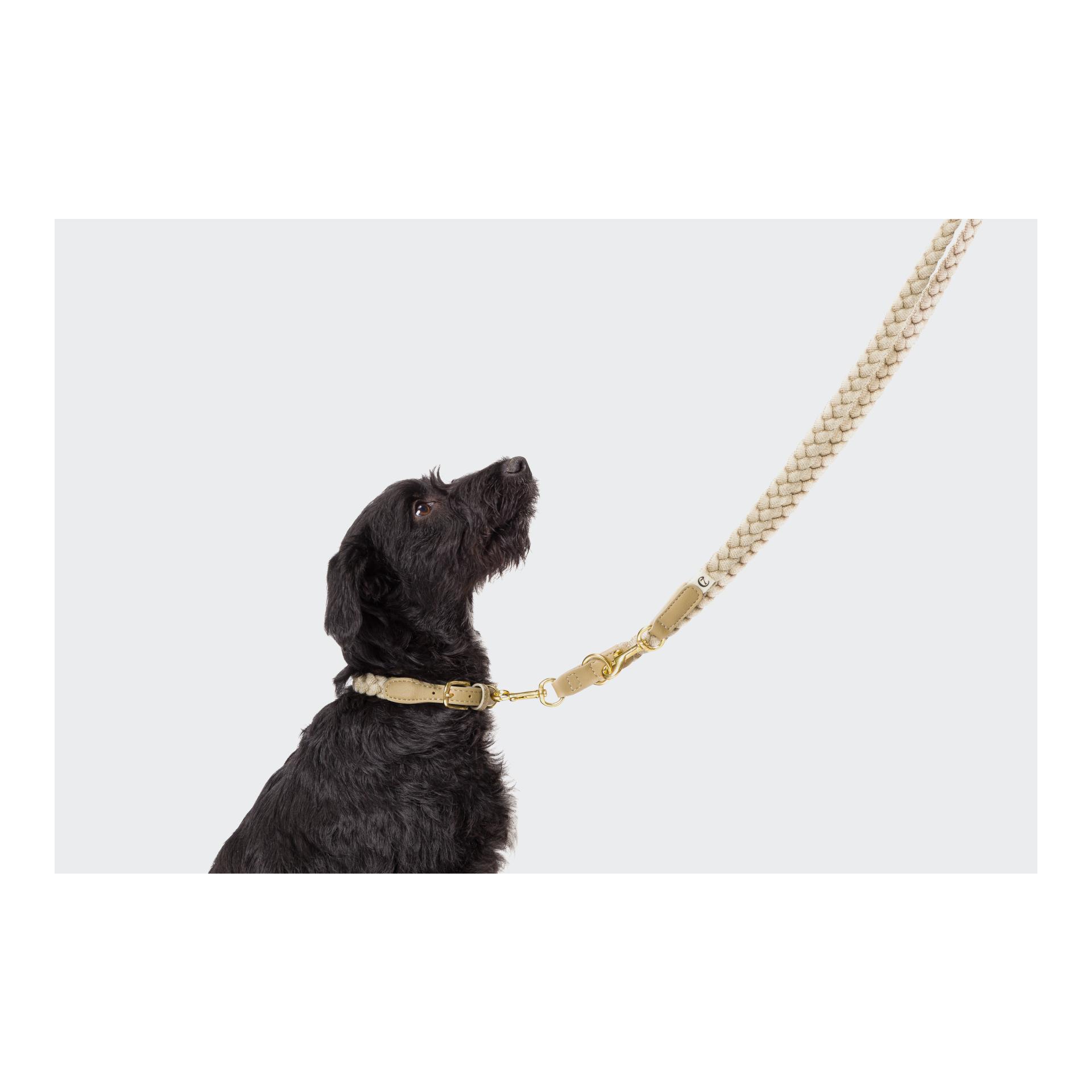Cloud 7 Hundehalsband Blomen