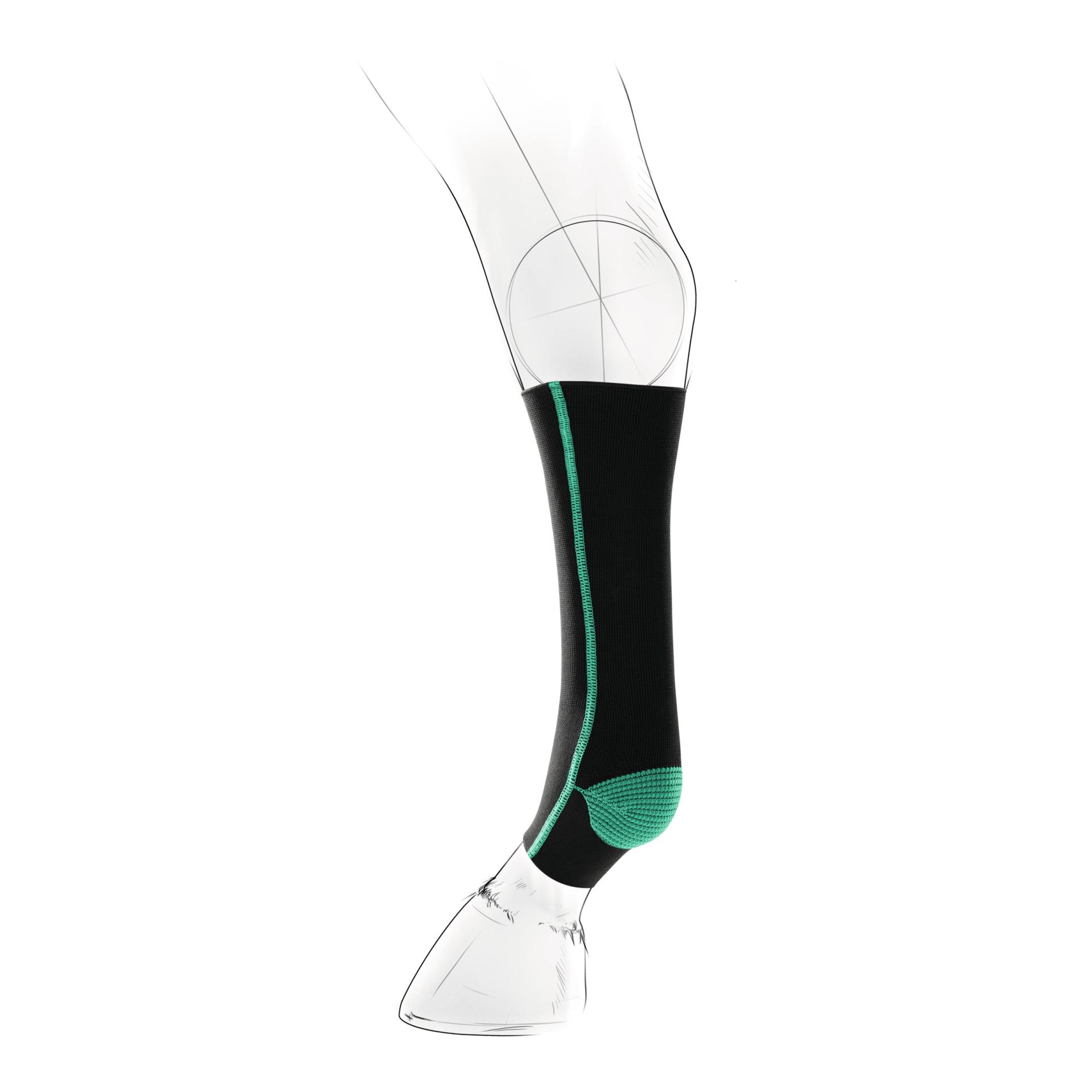 EquiCrown Kompressionsbandage active - vorne, Reissverschluss - grün