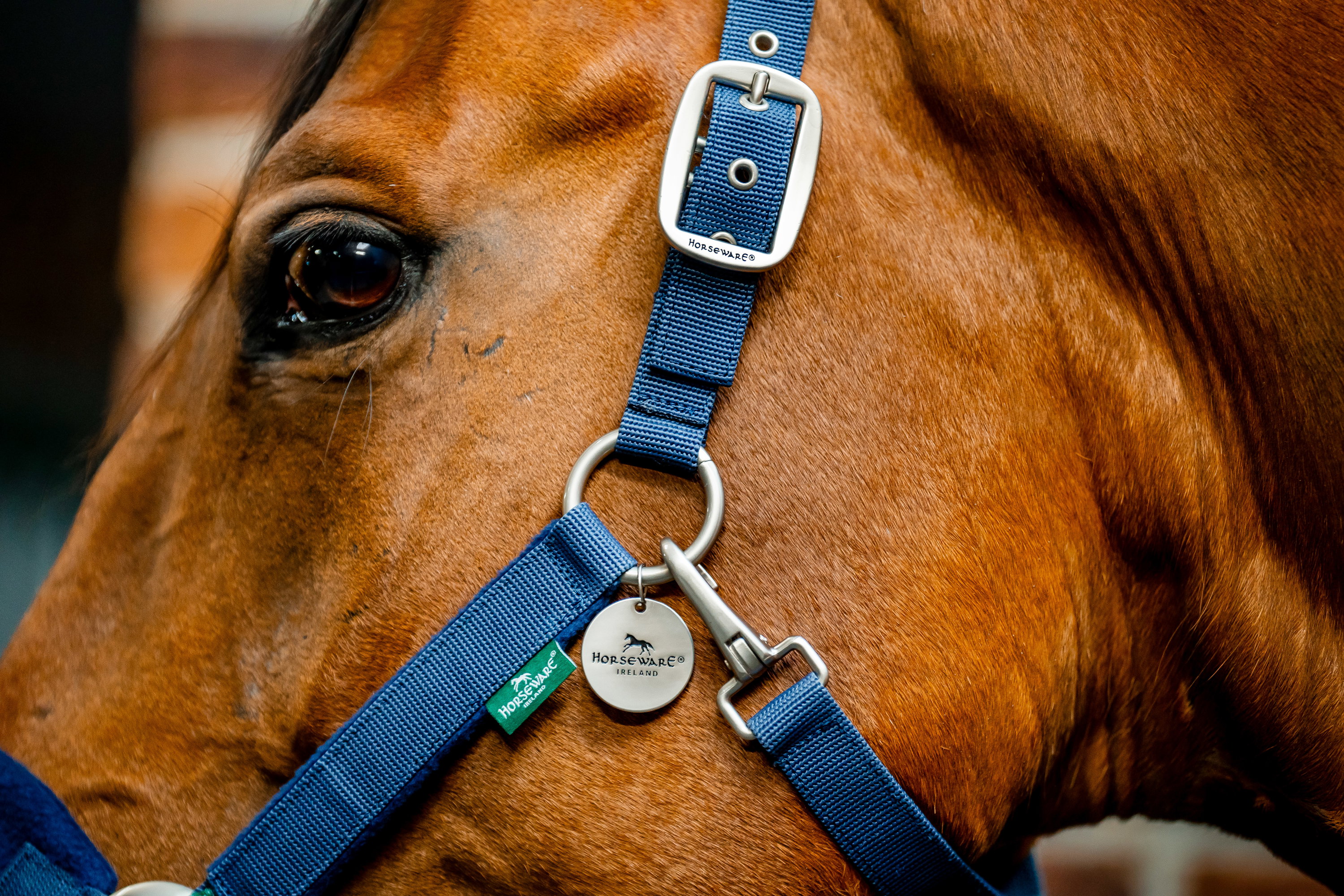 Halfter Grooming Signature