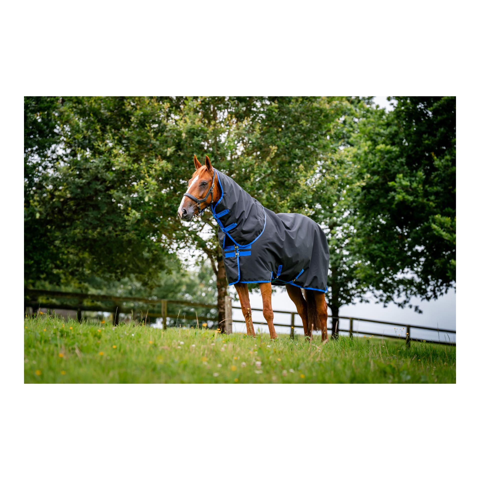 Horseware Weidedecke Amigo Ripstop 900D Plus Turnout 0g