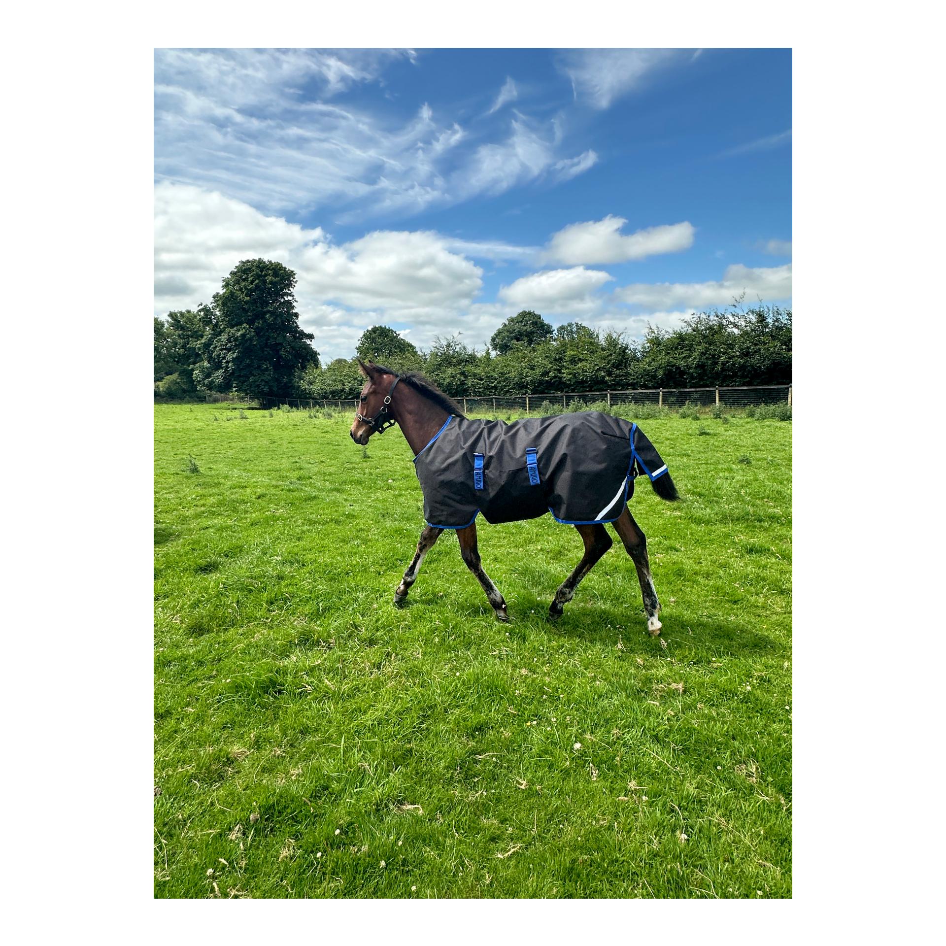 Horseware Fohlendecke Amigo Ripstop 900D 50g