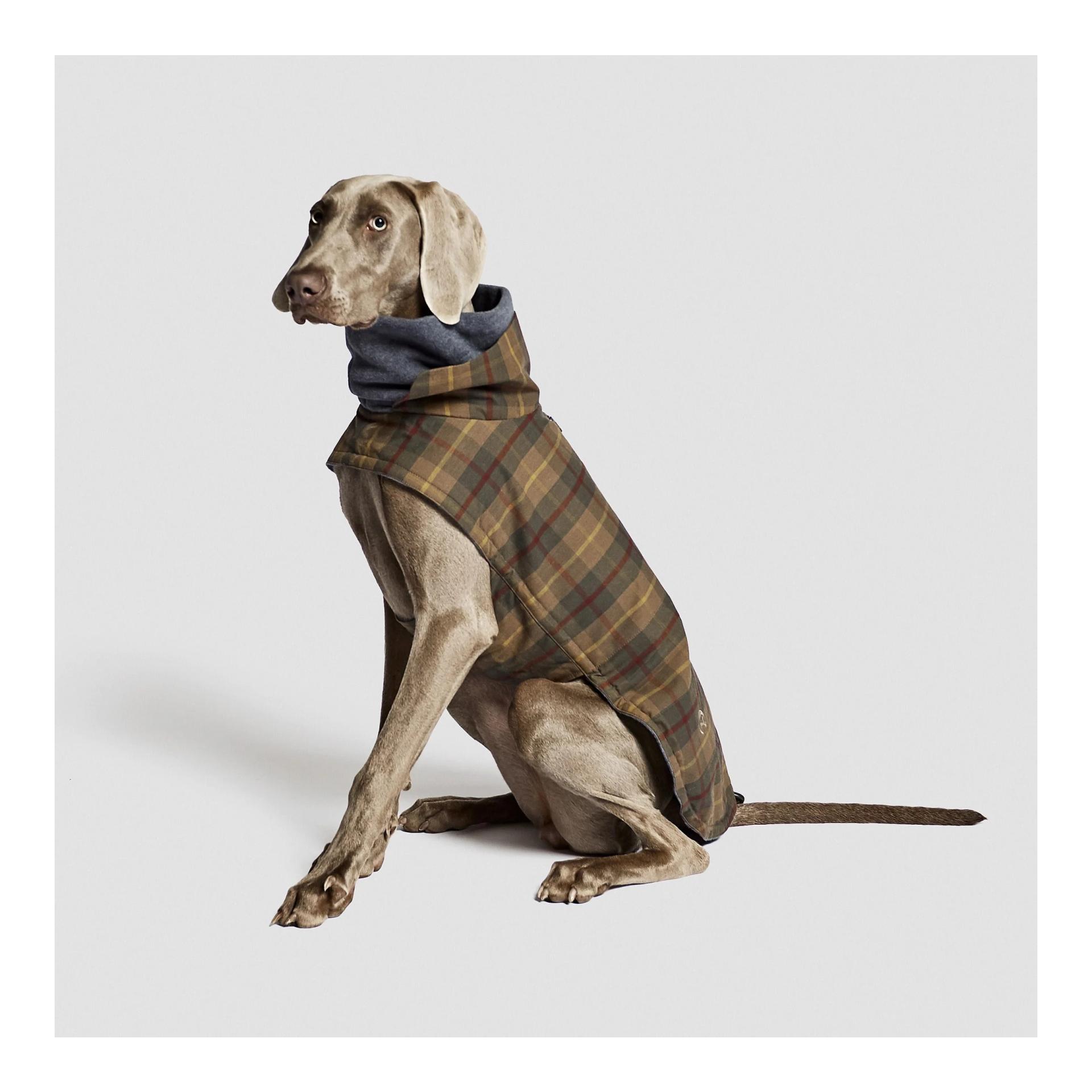 Cloud 7 Hundemantel Brooklyn Regulär - waxed tartan