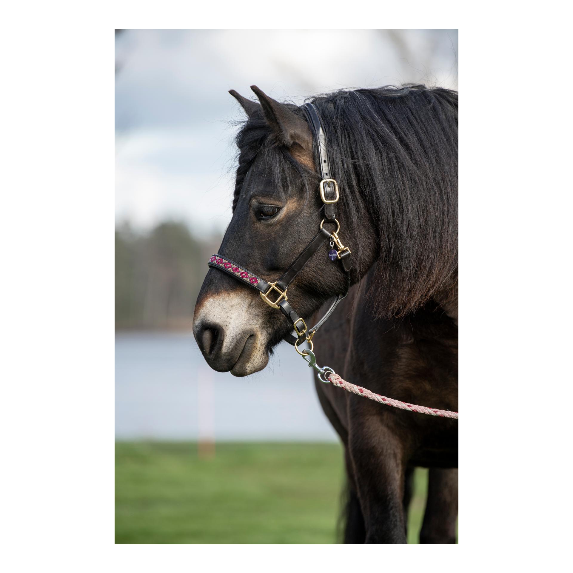 Soulhorse Lederhalfter Pearls