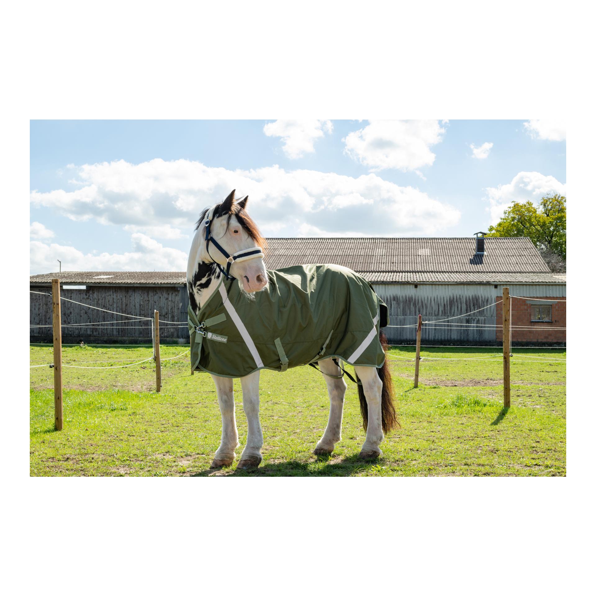 Stallone Regendecke Outdoor Guard High Neck