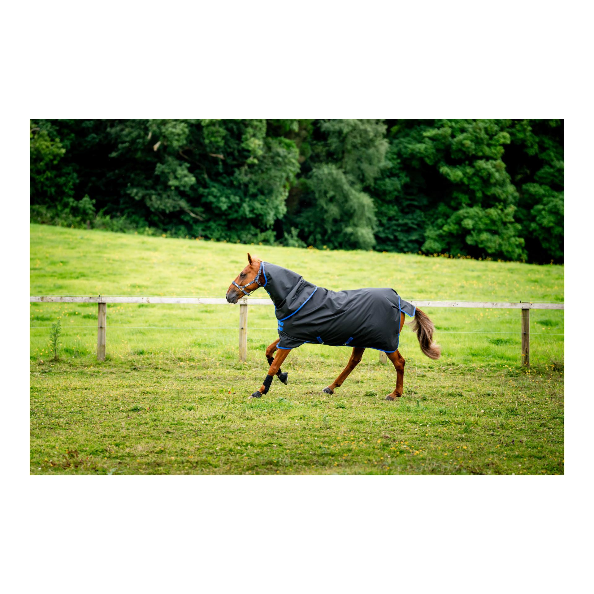 Horseware Weidedecke Amigo Ripstop 900 Plus 200g