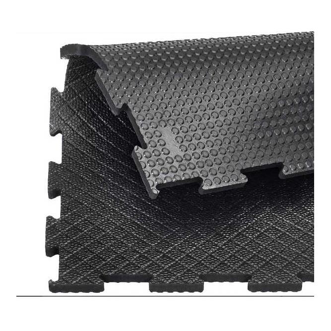 Belmondo Belmondo® Paddock