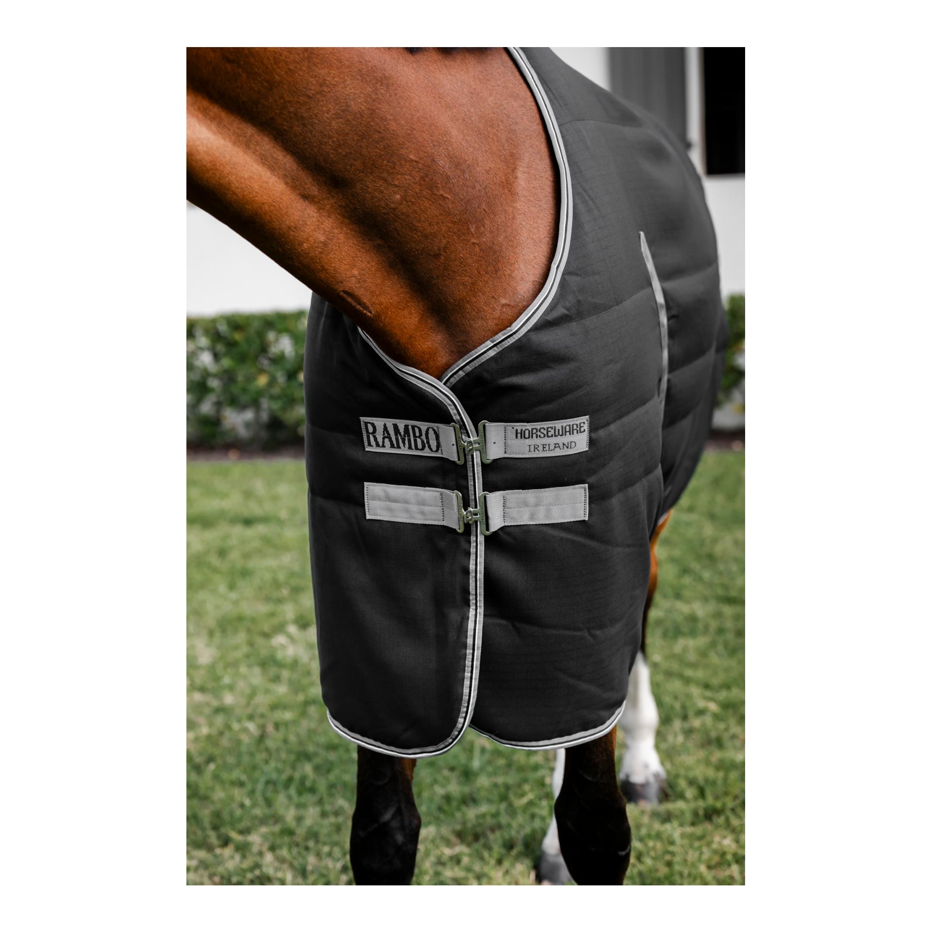 Horseware Couverture d'écurie Rambo 100 g