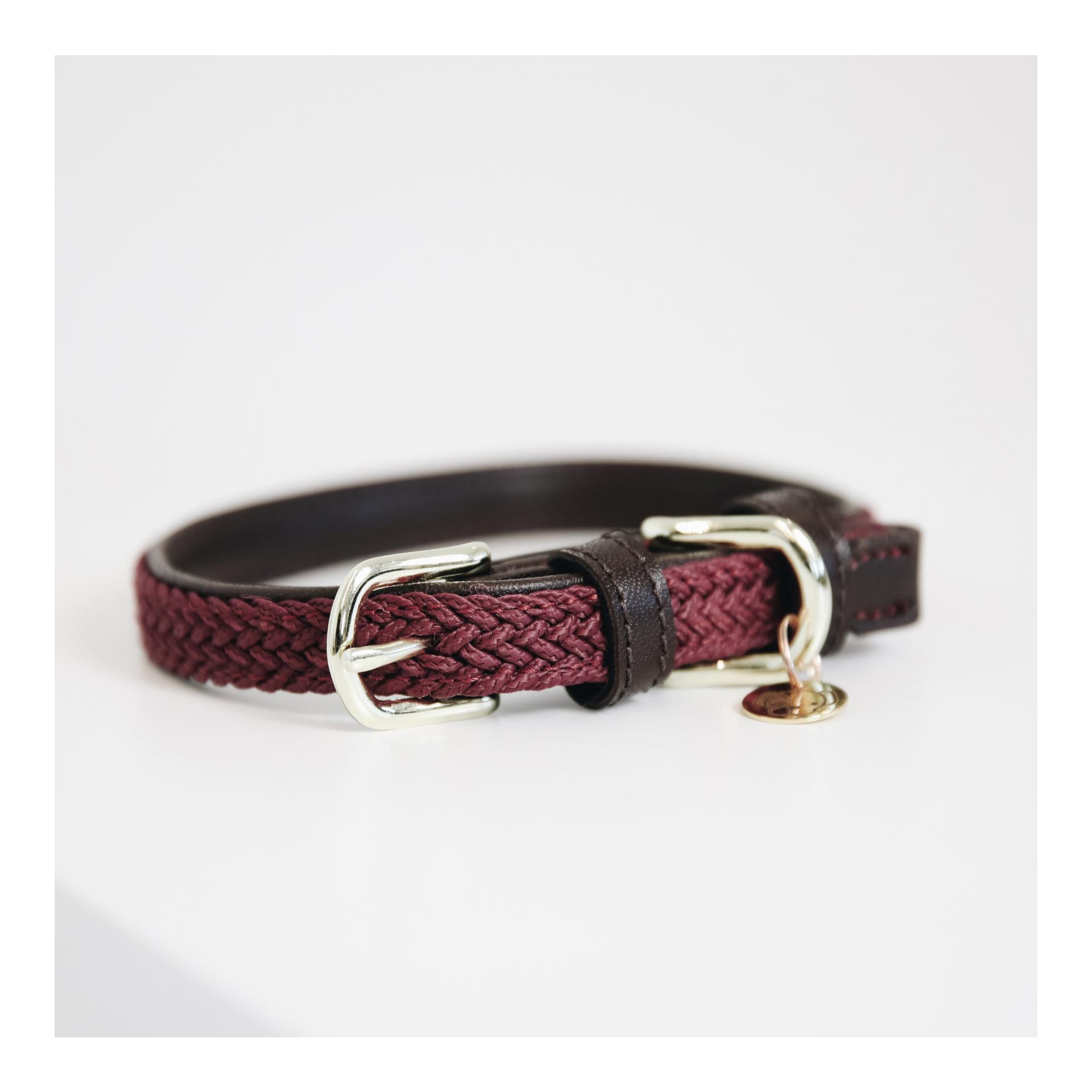 Kentucky Dogwear Collier pour chien en nylon tressé - bordeaux