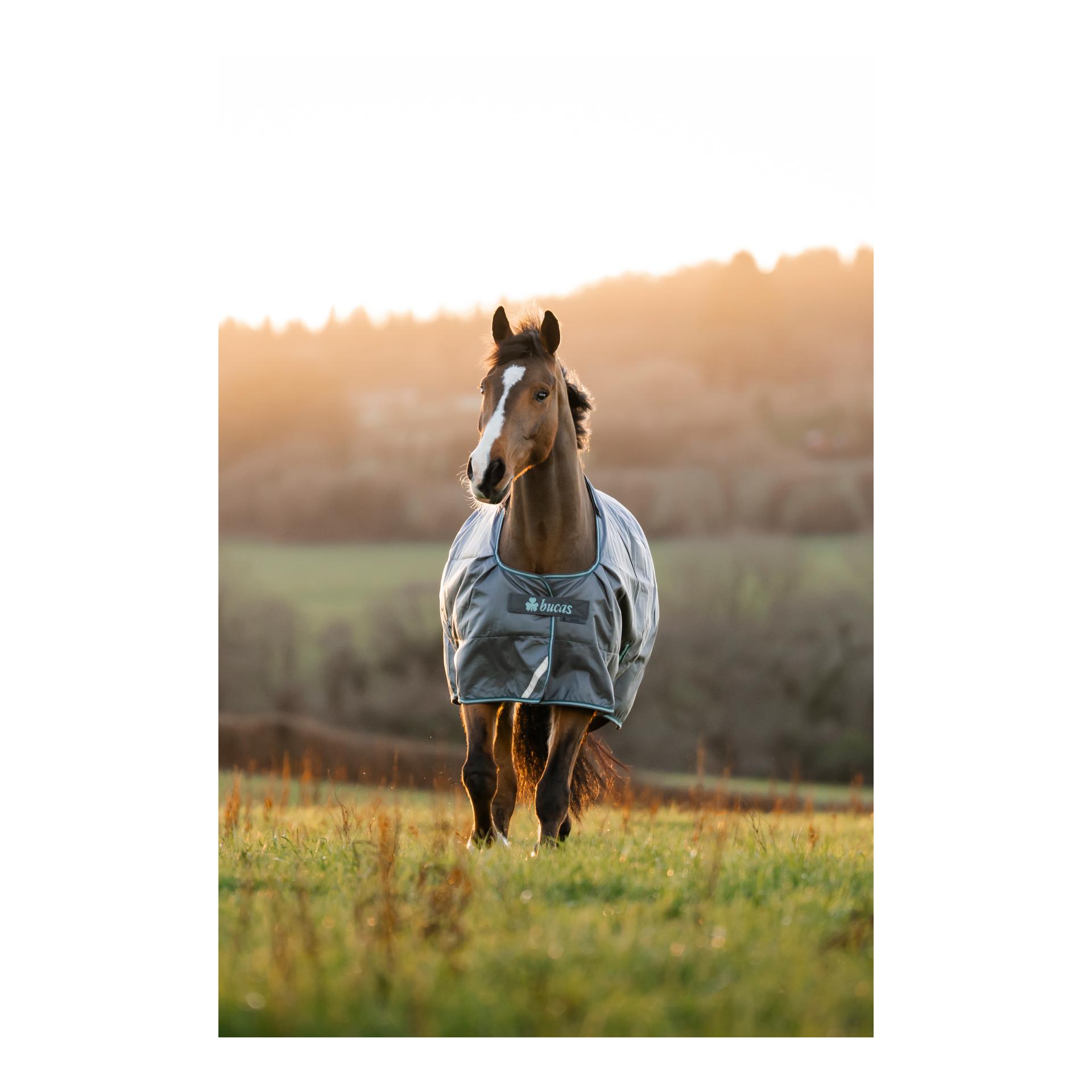 Bucas Weidedecke Smartex Rain