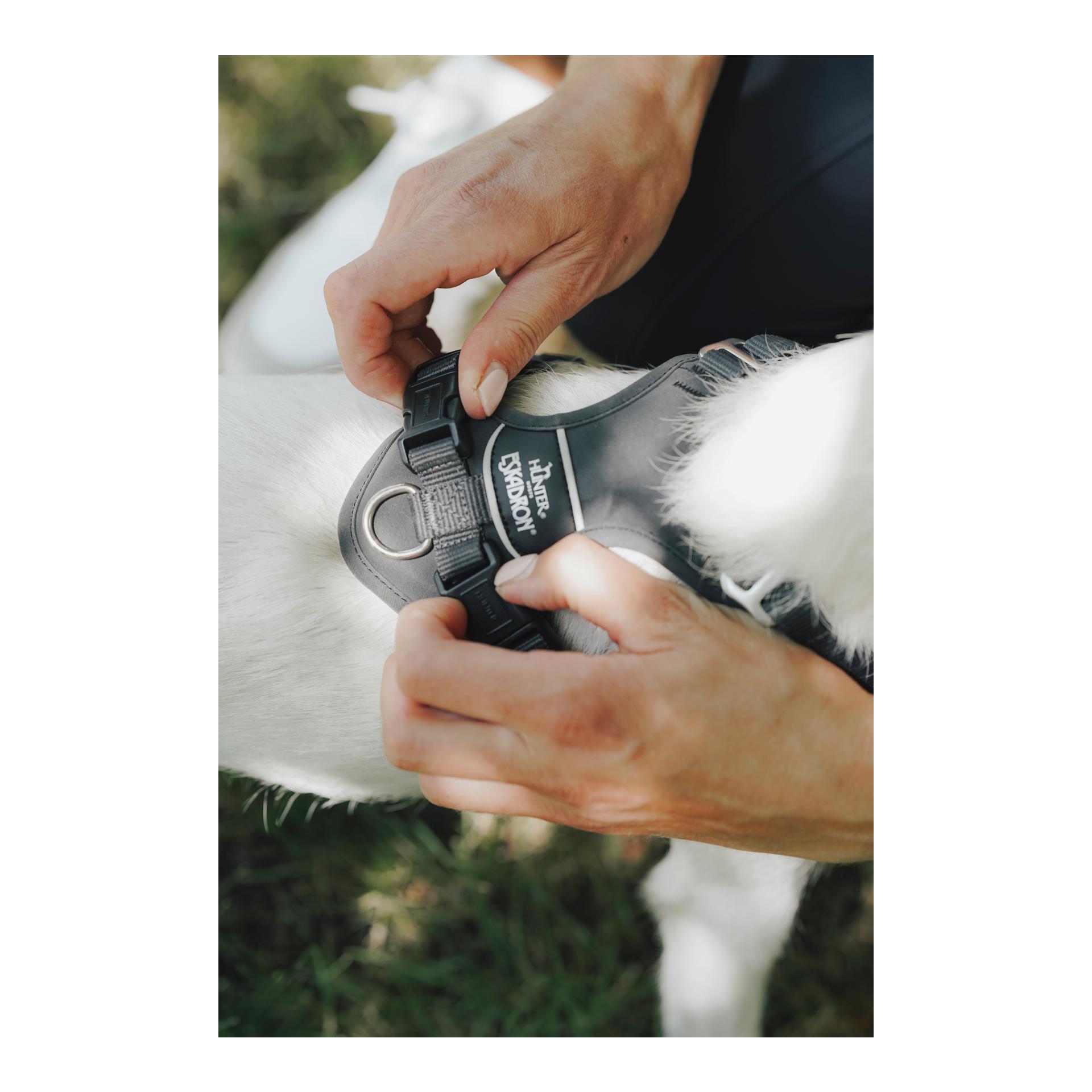 Eskadron Harnais pour chien MOTION REFLECT