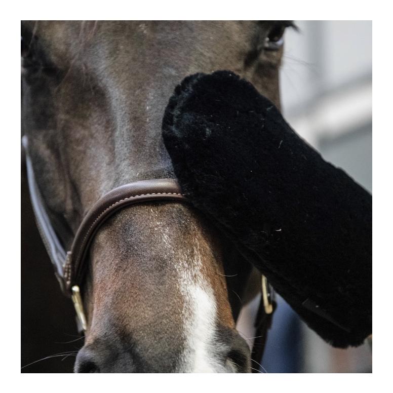 Grooming Deluxe Fell Putzhandschuh - schwarz