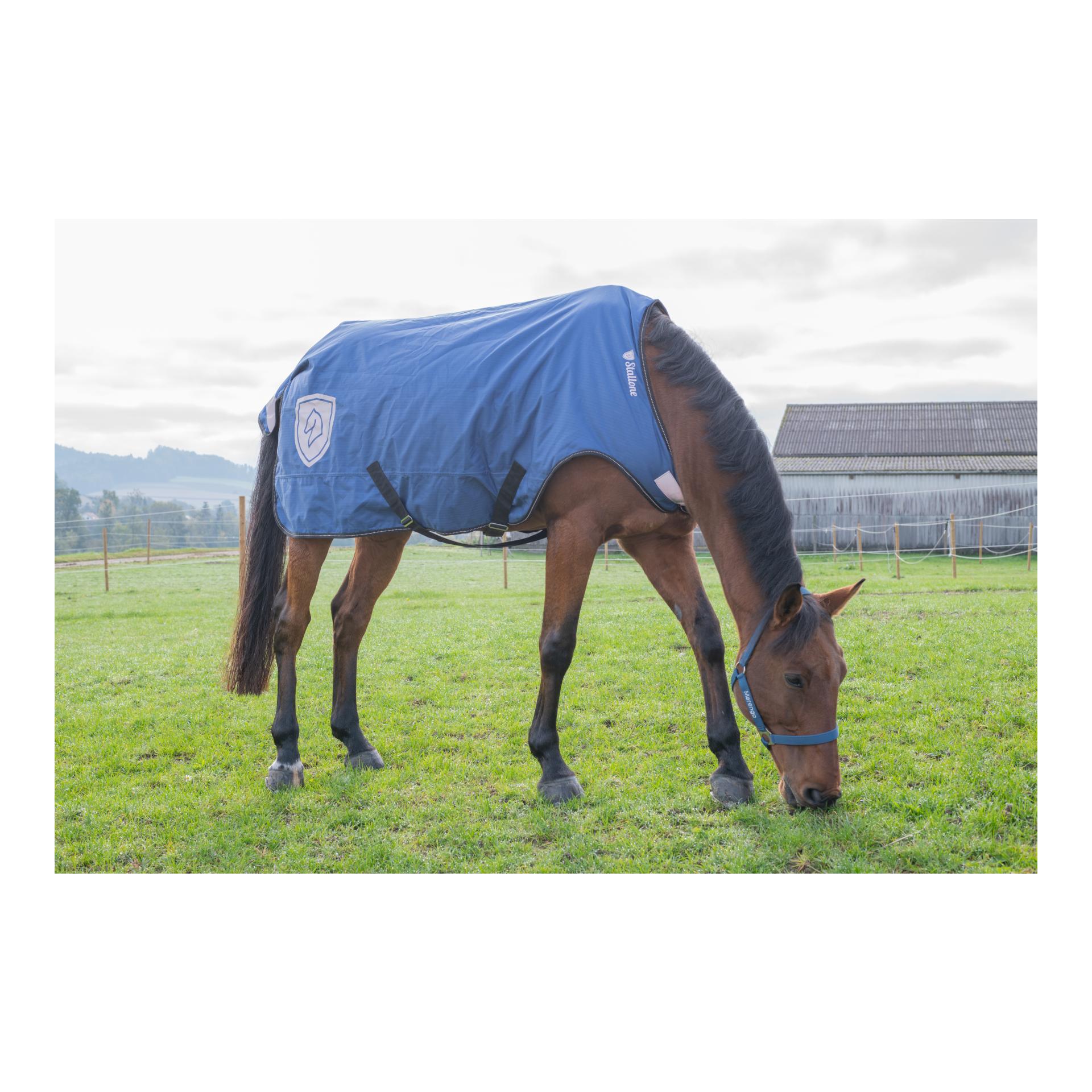 Stallone Walker Rug 100 g