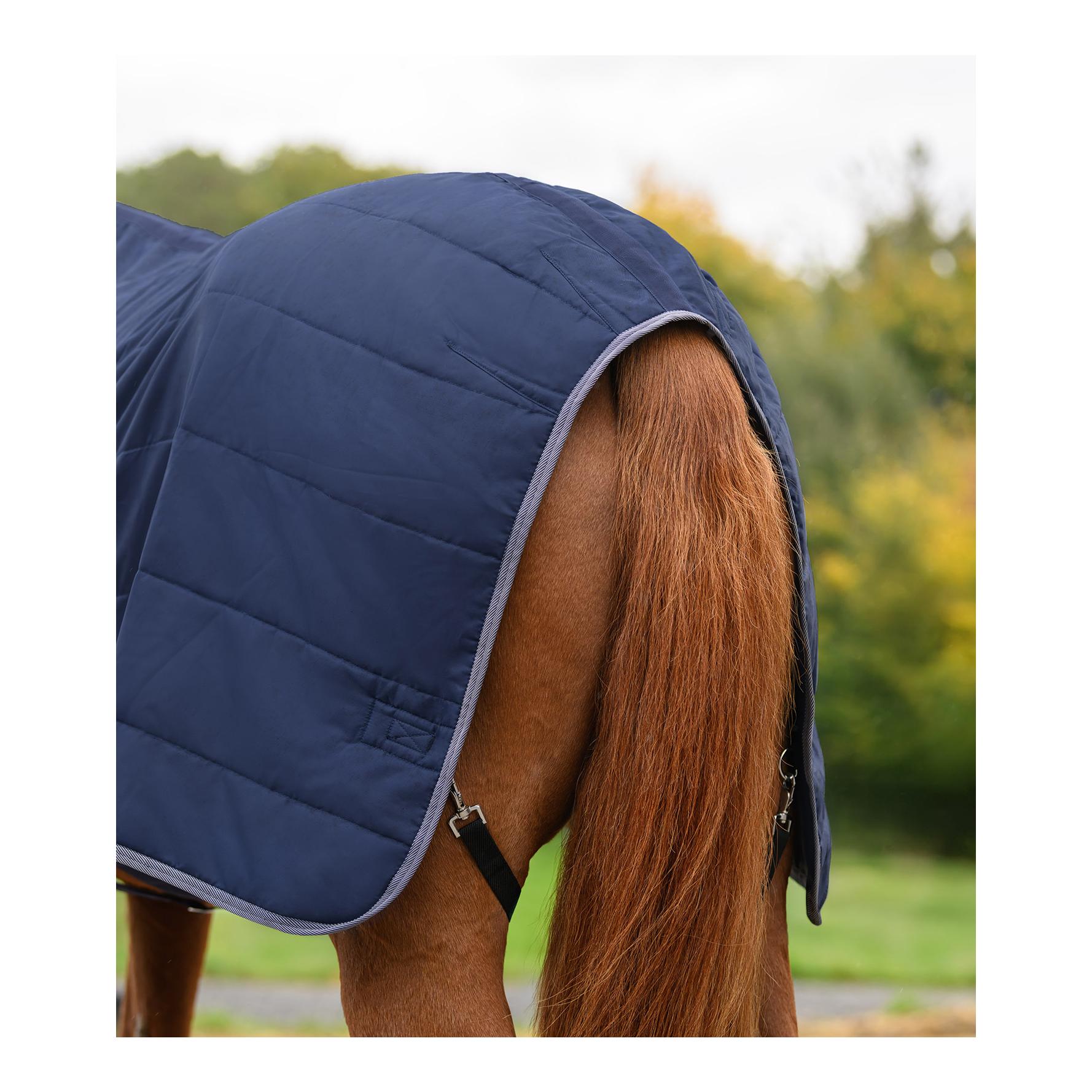 Waldhausen Stalldecke Essential 200g