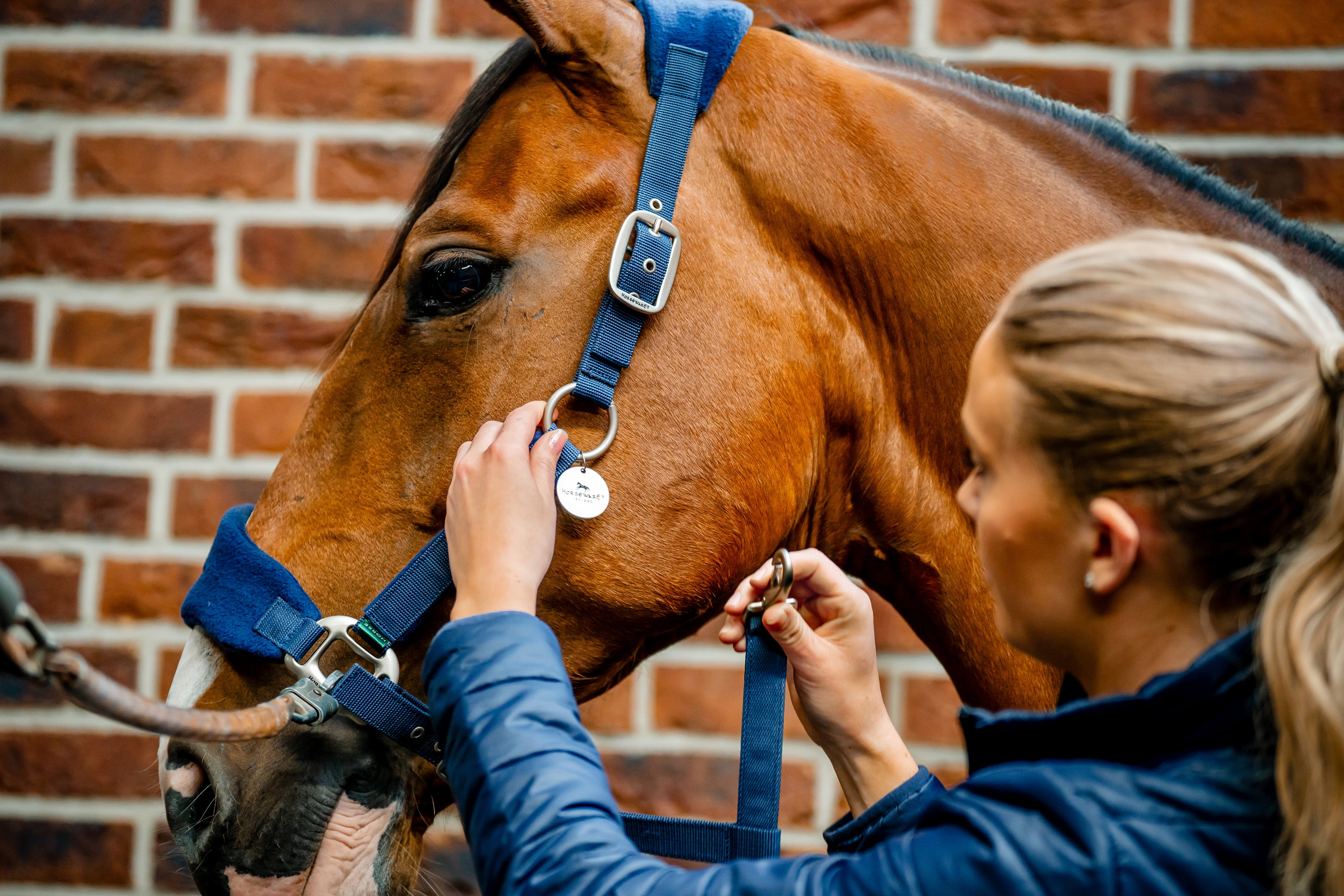 Halfter Grooming Signature