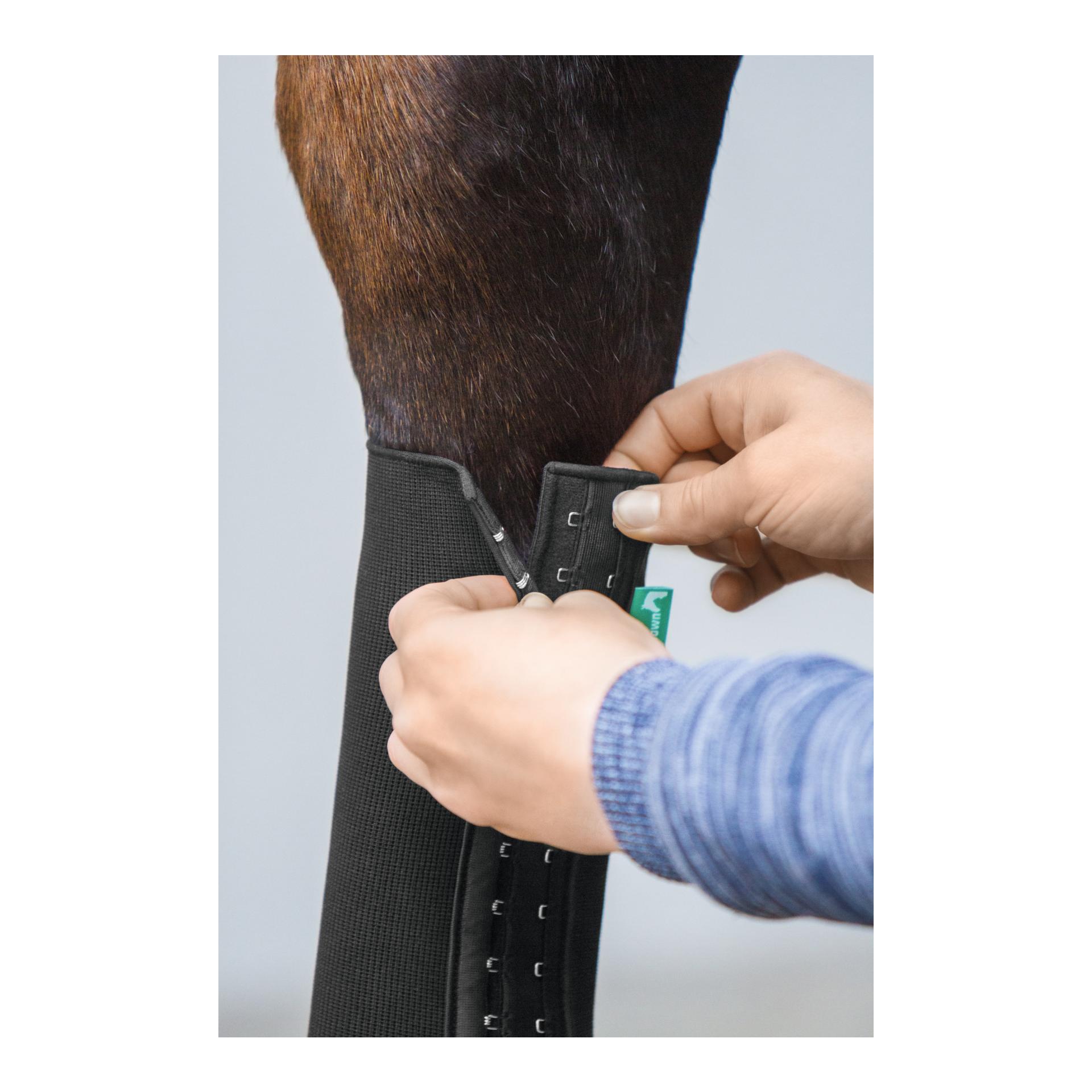 EquiCrown Kompressionsbandage fit - vorne, Hakenverschluss - grün