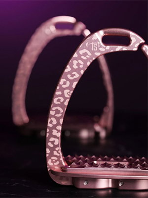 tech_stirrups_home
