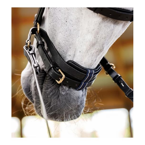 Horseware Zaum Micklem Multi