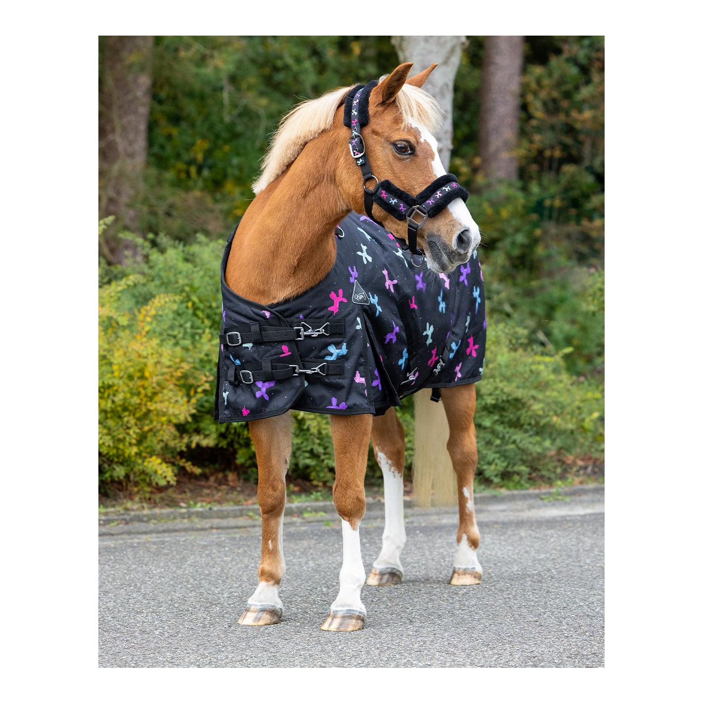 QHP Couverture de pré imperméable Isalyn 100g