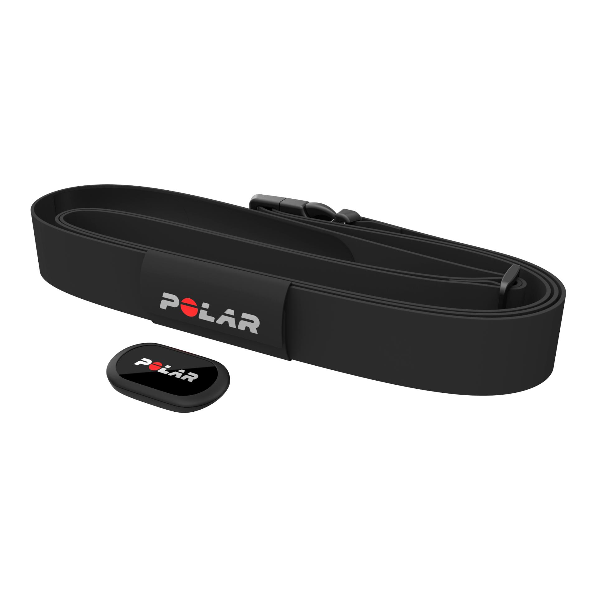 Polar Equine Herzfrequenzmesser H10 für Traber