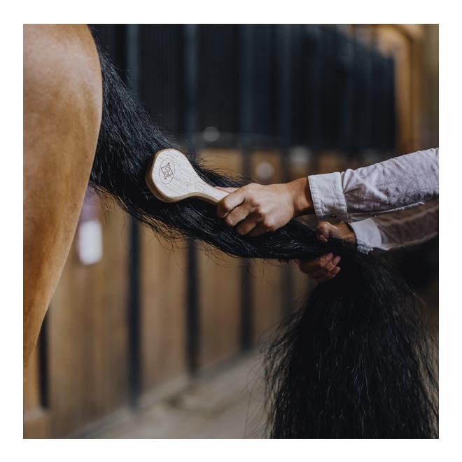 Grooming Deluxe Mähnenbürste