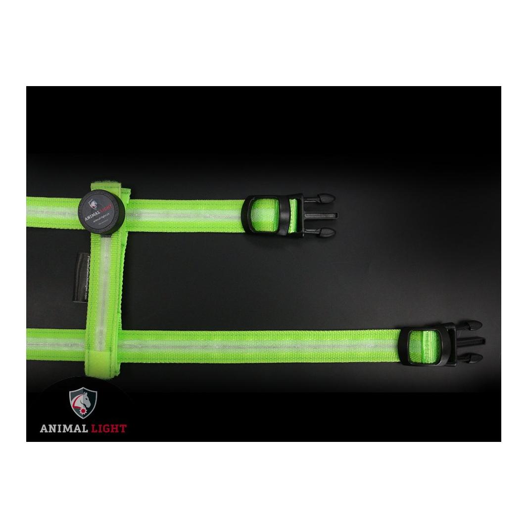 Animal Light Harnais lumineux pour chien "Ninja" - vert