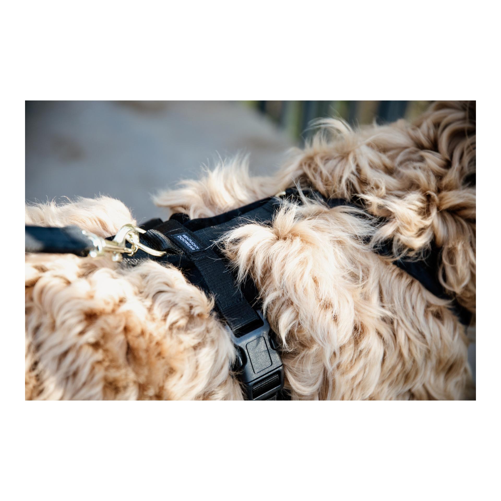 Kentucky Dogwear Harnais pour chien Active Velvet