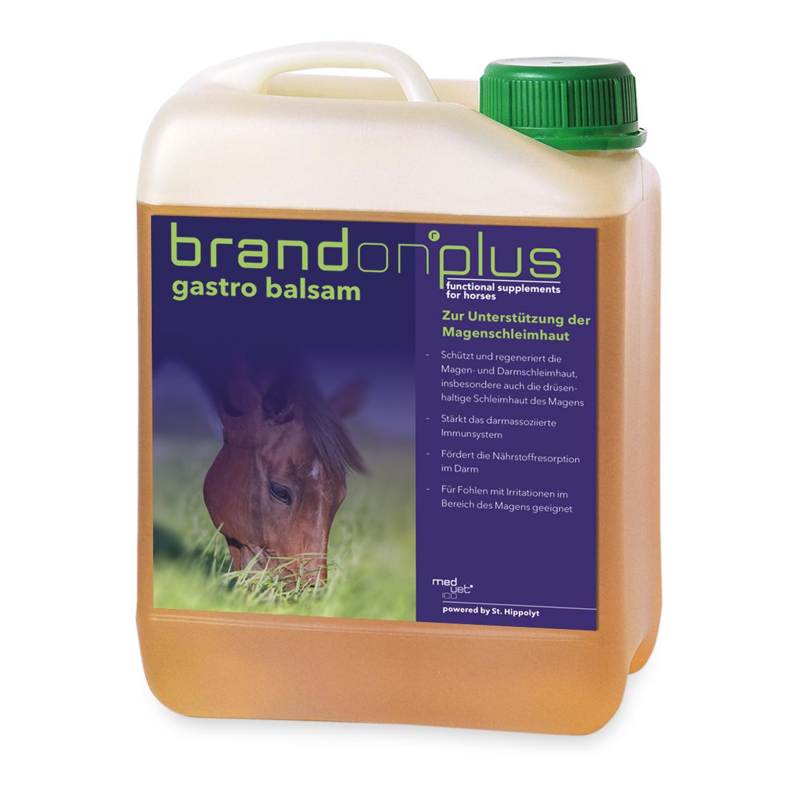 Brandon Plus gastrobalsam