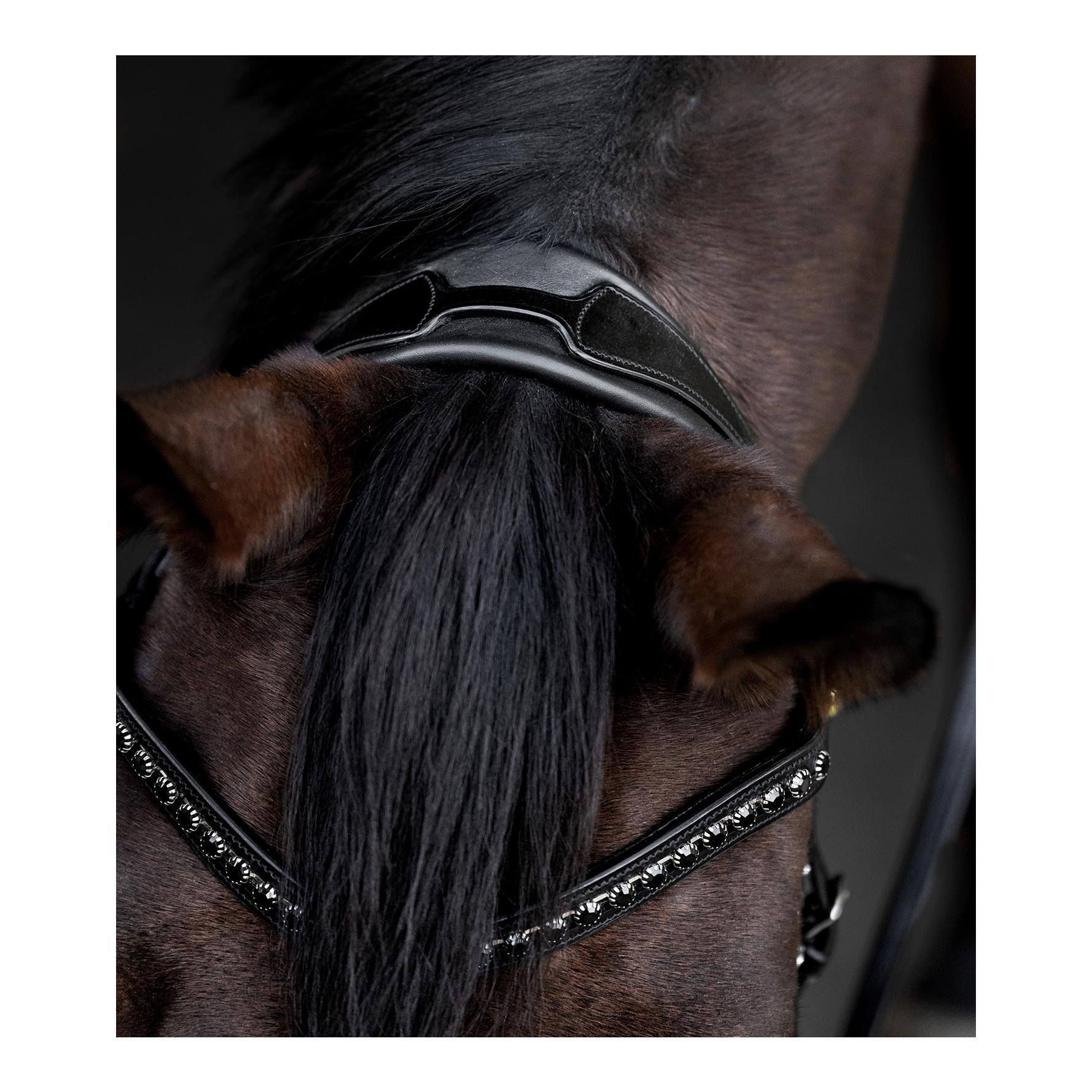 X-Line Waldhausen S-Line Trensenzaum Blackshine