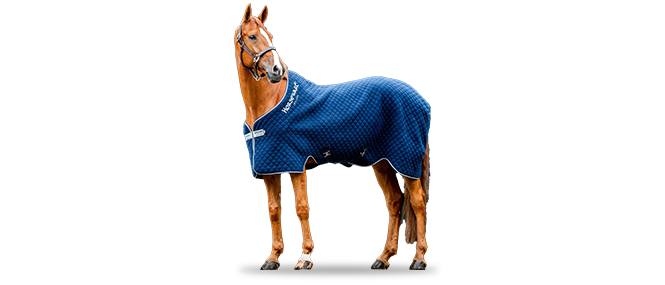 reitsport-pferdedecken