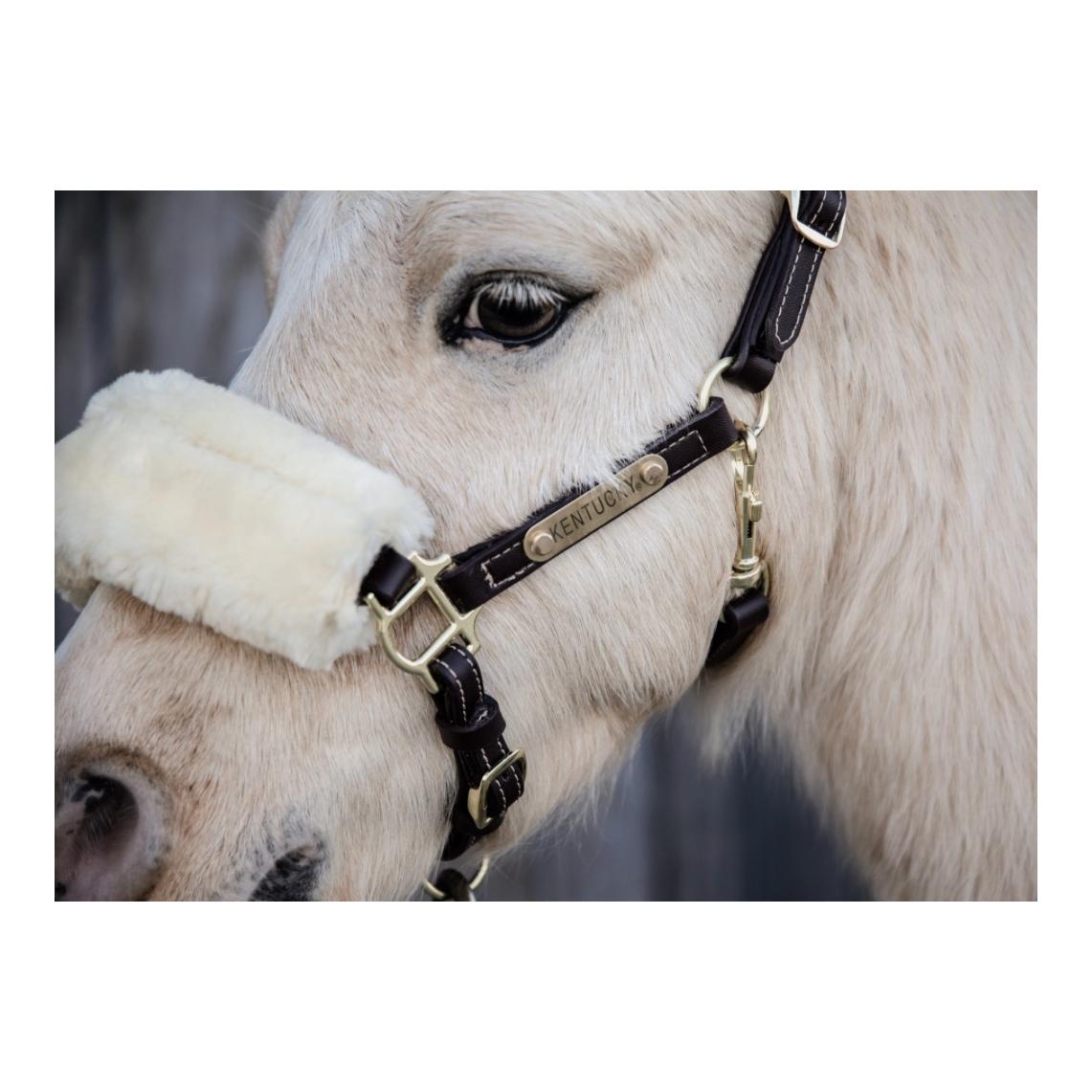 Kentucky Pony Lederhalfter - braun