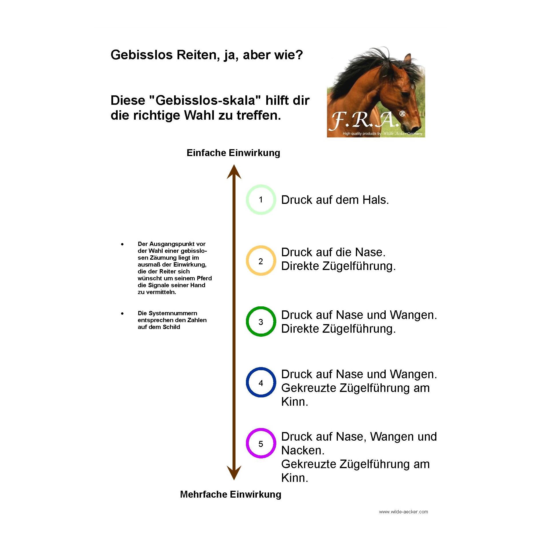 F.R.A Glory System 3, Side-Pull mit Perlen